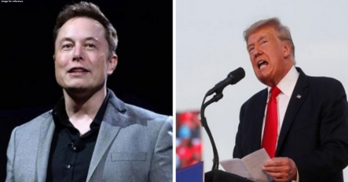 Elon Musk comments on whether Donald Trump will return to Twitter